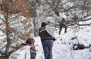 Tunceli’de yaban hayvanları için doğaya 6 ton...
