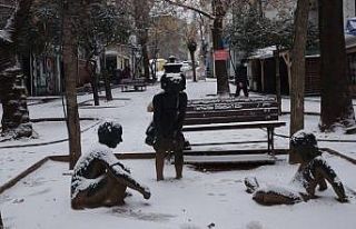 Tunceli’nin merkezi karla tanıştı, yüz yüze...