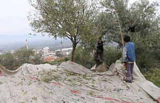 Turgutlu’da çalışmalar hız kesmiyor