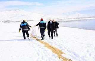 Tuşba Belediyesi yaban hayvanları için doğaya...
