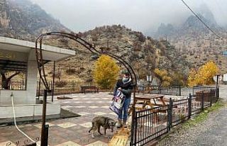 Uludere ve Beytüşşebap’ta başı boş hayvanlar...