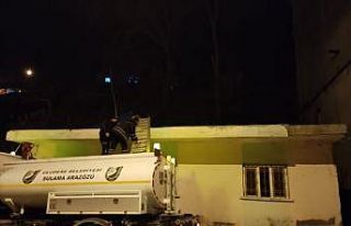 Uludere’de ağaçta mahsur kalan kediyi itfaiye...