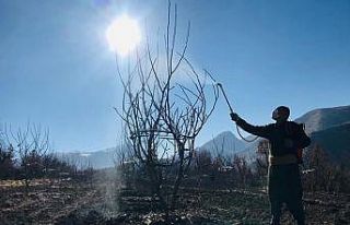 Uludere’de çiftçiye bordo bulamacı eğitimi