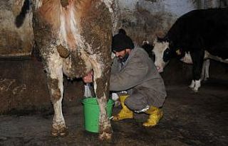 Üreticiden 2 lira 55 kuruşa alınıyor, marketlerde...