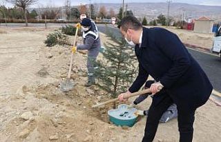 Ürgüp ‘te fidanlar Ekobox sistemi ile dikiliyor