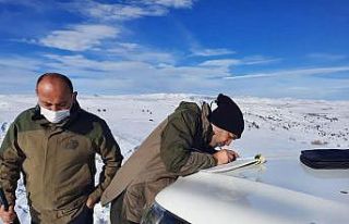 Usulsüz avlanan şahsa 2 bin Lira ceza