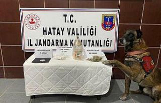 Uyuşturucuyu "Cesur" buldu