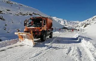 Van-Bahçesaray yolu ulaşıma kapalı
