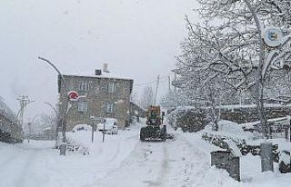 Van-Çatak kara yolu trafiğe kapatıldı