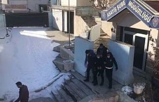 Van’da 6 farklı dosyadan aranan ve hakkında 27...