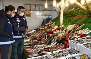 Van’da yediği balon balığından zehirlenen kişi...