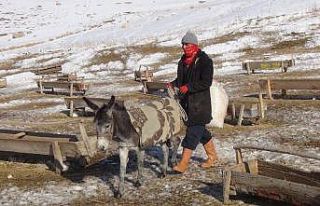 Vanlı besicilerin zorlu kış mesaisi