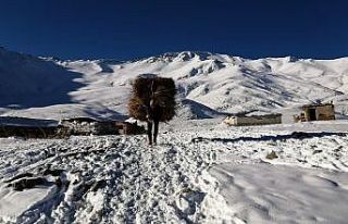 Vanlı çobanlar yayla sezonunu kapattı