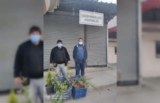 "Vatanını seviyorsan ağaç dik" kampanyası