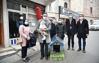 Vefalı köpek ‘Boncuk’ kulübesine kavuştu