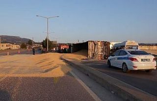 Virajı alamayan tır devrildi, tonlarca mısır yola...
