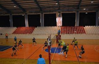 Voleybol Erkekler İkinci Lig