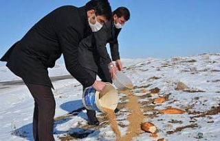 Yaban hayatını unutmadılar, doğaya yem bıraktılar