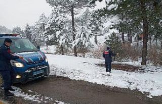Yaban hayvanlarına jandarma şefkati