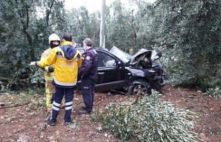 Yağışla gelen ölüm...Taklalar atarak zeytin bahçesine...