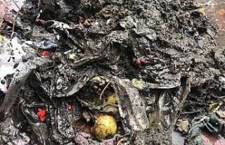 Yağmur suyu ızgarasından çıkanlar pes dedirtti
