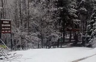 Yalova’ya yılın ilk karı düştü