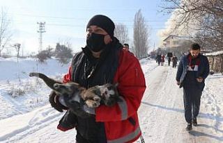 Yangından kurtardığı kedinin öldüğünü öğrenen...