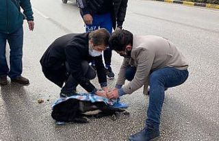 Yaptığıyla "İnsanlık ölmemiş" dedirtti