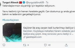 Yaralı kediye Keçiören Belediyesi sahip çıktı