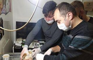 Yaralı köpek tedavi ettirildi