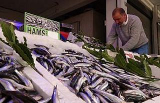 Yasak öncesi son hamsiler tezgahlarda