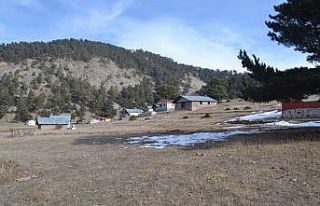 Yaylalar kara hasret kaldı