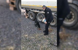 Yeşilhisar’da sokak hayvanları unutulmadı