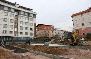 Yeşillendirme hareketi ile Kartal’da bir mahalle...