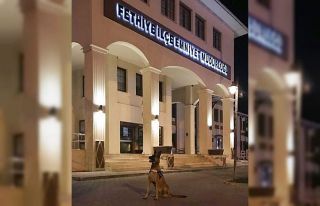 Yılın Narkotik köpeği Muğla’dan ‘Hera’