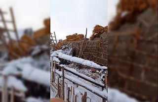 Yoğun kar ahırı çökertti hayvanlar telef oldu