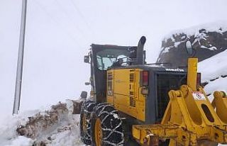 Yoğun kar sonrası Kulp beyaza büründü