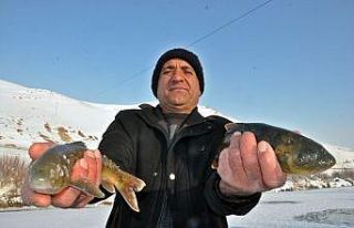 Yüksekova’da buz tutan derede ’Eskimo usulü’...