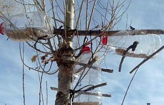 Yüksekovalı genç pet şişelerinden kuş yemlikleri...