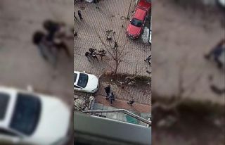Yumrukların havada uçuştuğu kavga kameraya yansıdı