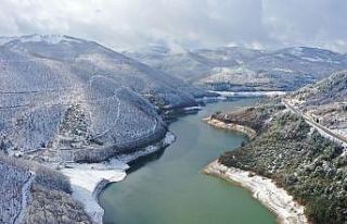 Yüreğimize kar serpildi