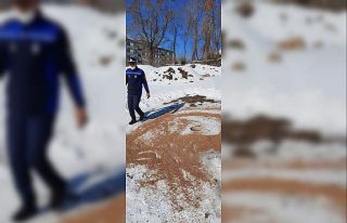 Zabıta ekipleri doğaya kuşlar için yem bıraktı