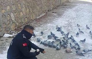 Zabıtadan duyarlı davranış