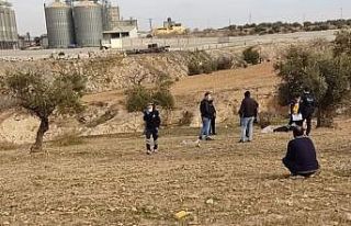 Zeytin ağacından düşen yaşlı adam hayatını...