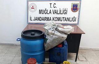 Zeytin hırsızını JASAT yakaladı