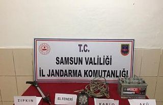 Zıpkınla balık avına idari işlem