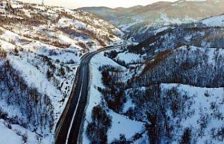 Zonguldak ormanlarında kış güzelliği