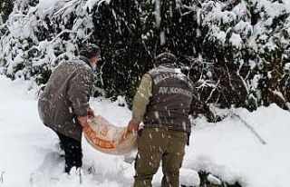 Zonguldak’ta yaban hayvanları için doğaya yem...
