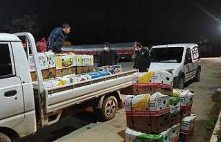 12 bin adet zeytin filesine el konuldu