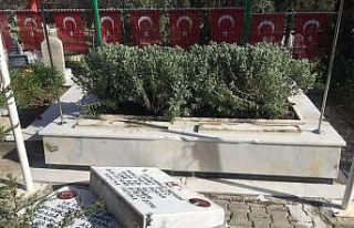 15 Temmuz şehidi ikiz polislerin mezarlarına alçak...